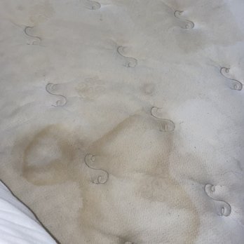 Alsi Resort - Pee stained mattress - Hotels Near Me - Waldport, Oregon Alsi Resort - Pee stained mattress - Hotels Near Me - Waldport, Oregon