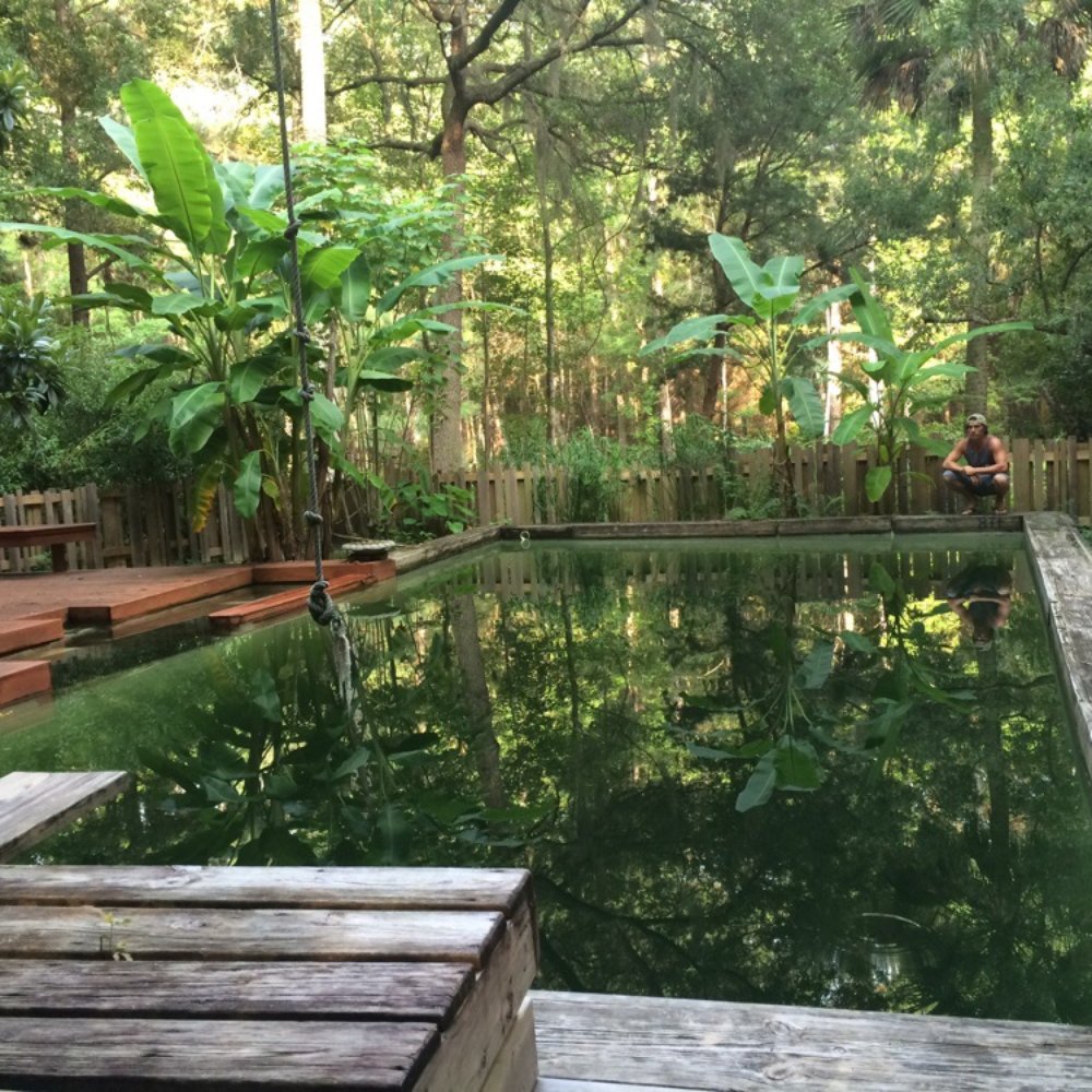 This is the "pool" ...inviting huh? Only if you could see the critters in those dark dark waters ... This is the "pool" ...inviting huh? Only if you could see the critters in those dark dark waters ...
