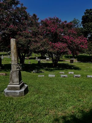 Elmwood Cemetery by null
