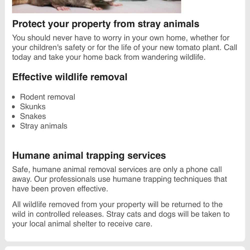 Survival Pest Control - Funny that his website clearly states that they offer "rodent removal" - Pest Control Near Me Survival Pest Control - Funny that his website clearly states that they offer "rodent removal" - Pest Control Near Me