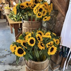 Youngs Farm - Sunflowers