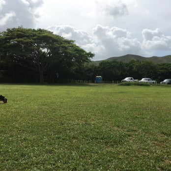 Kalama Dog Park - Happy leashless puppy! - Dog Parks Near Me - Kailua, Hawaii