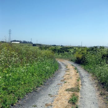 Elkhorn Slough - northern 2 mile trail - Parks Near Me - Moss Landing, California