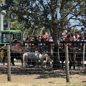 Family Farm - Fruits & Veggies Near Me - Davie, Florida Family Farm - Fruits & Veggies Near Me - Davie, Florida