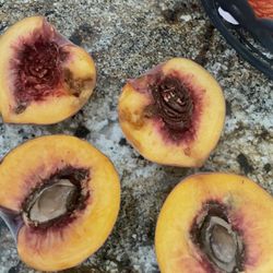Tony's Fruit Stand - Bad peaches.