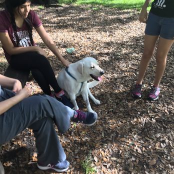 John Williams Park - Family moment - Dog Parks Near Me - Hollywood, Florida John Williams Park - Family moment - Dog Parks Near Me - Hollywood, Florida