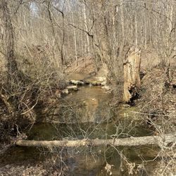 Orange Trail