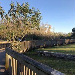 Big Cypress Oasis Visitor Center