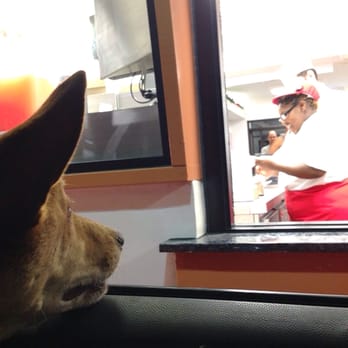 In-N-Out Burger - Waiting on his plain, no-salt hamburger. It was his 11th birthday, so again, don't judge! - Burgers Near Me - Alameda, California