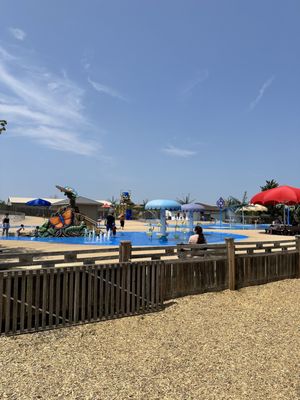 African Lion Safari by null