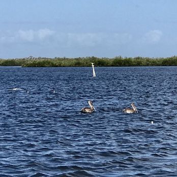 Turtle Mound River Tours - Boat Charters Near Me - Oak Hill, Florida Turtle Mound River Tours - Boat Charters Near Me - Oak Hill, Florida