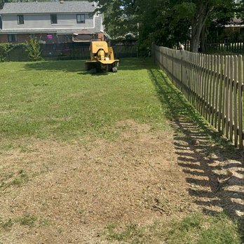 SJD Tree Care - Tree Services Near Me - Dayton, Ohio SJD Tree Care - Tree Services Near Me - Dayton, Ohio