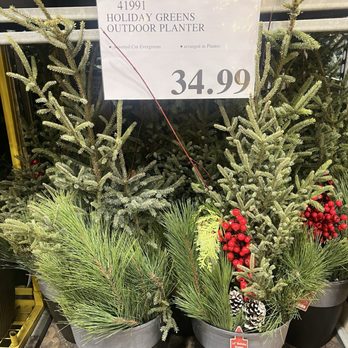 Costco - Outside decoration for holiday curbside appeal - Wholesale Stores Near Me - Harrisburg, Pennsylvania