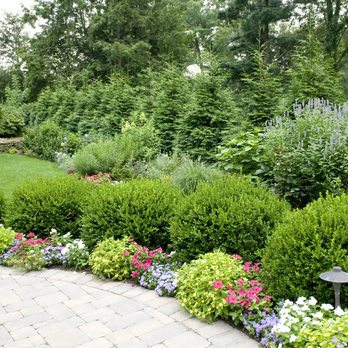 GreenStripe - Healthy Shrubs - Tree Services Near Me - Union, New Jersey