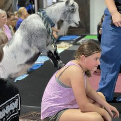 Warrior Soul Fitness - Goats are fun!