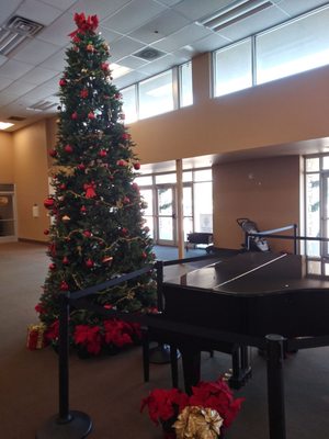 The Potter's House of Fort Worth by null