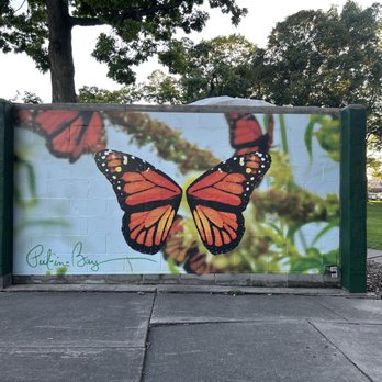 De Rivera Park - Butterfly picture - Parks Near Me