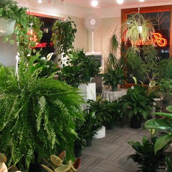 Fleuriste Juliette - Photo - Florists Near Me - Ste-Therese, Quebec