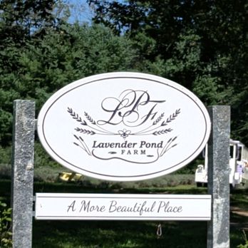 Lavender Pond Farm - Welcome!! - Flowers & Gifts Near Me - Killingworth, Connecticut Lavender Pond Farm - Welcome!! - Flowers & Gifts Near Me - Killingworth, Connecticut