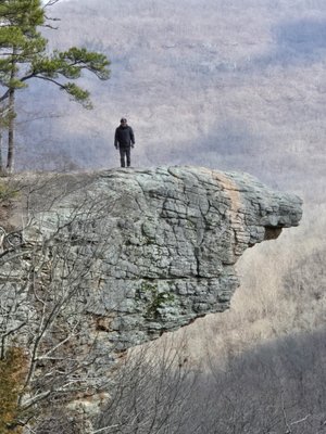 Hawksbill Crag/Whitaker Point by null