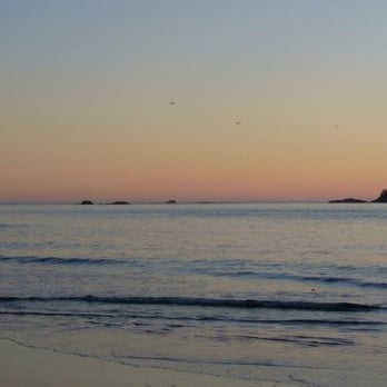 Tonquin Beach - Beaches Near Me - Tofino, British Columbia Tonquin Beach - Beaches Near Me - Tofino, British Columbia