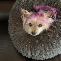 This is Bobo, my little old man! This is Bobo, my little old man!
