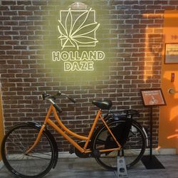 Holland Daze