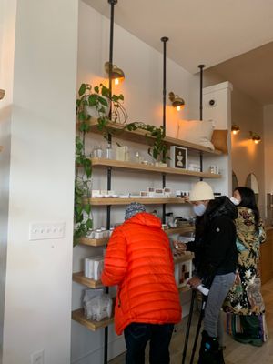 Harriett's Bookshop by null