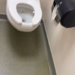 Luminis Health Anne Arundel Medical Center - Toilet tissue/ Urine