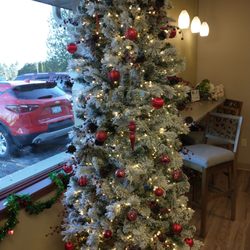 Lakeshore Dental SC - Their tree