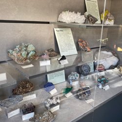 BYU Museum Of Paleontology - Cool rocks!