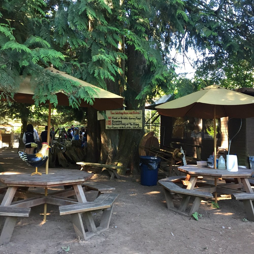 The Outback Kangaroo Farm - Zoos Near Me - Arlington, Washington The Outback Kangaroo Farm - Zoos Near Me - Arlington, Washington