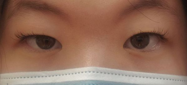 Q-Lash Eyelash Extensions&Brows by null