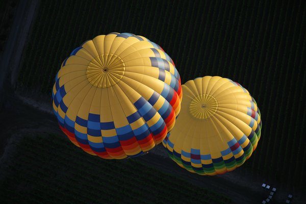 Napa Valley Aloft Hot Air Balloon Rides by null