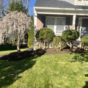 Siple Services - Gutter Services Near Me