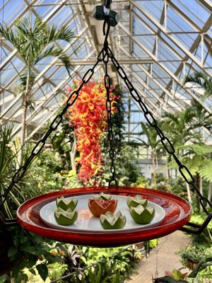 Franklin Park Conservatory and Botanical Gardens by null