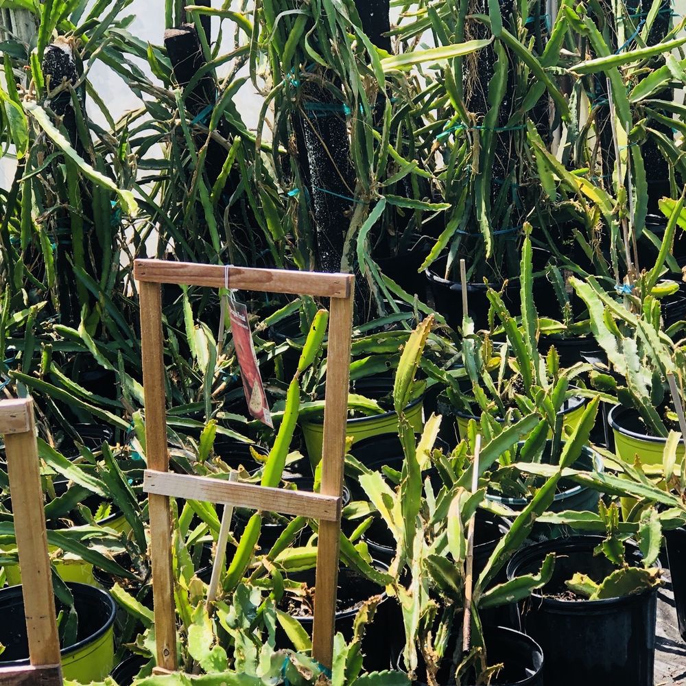 JRN Nursery - Nurseries & Gardening Near Me - Houston, Texas JRN Nursery - Nurseries & Gardening Near Me - Houston, Texas