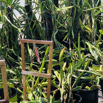 JRN Nursery - Nurseries & Gardening Near Me - Houston, Texas