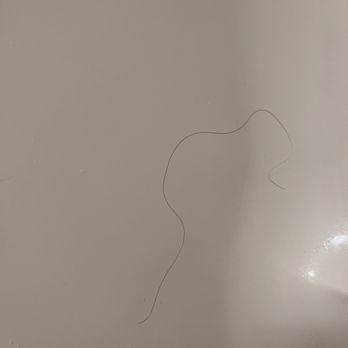 Quality Inn - Hairs in the shower. - Hotels Near Me - Bedford, Pennsylvania