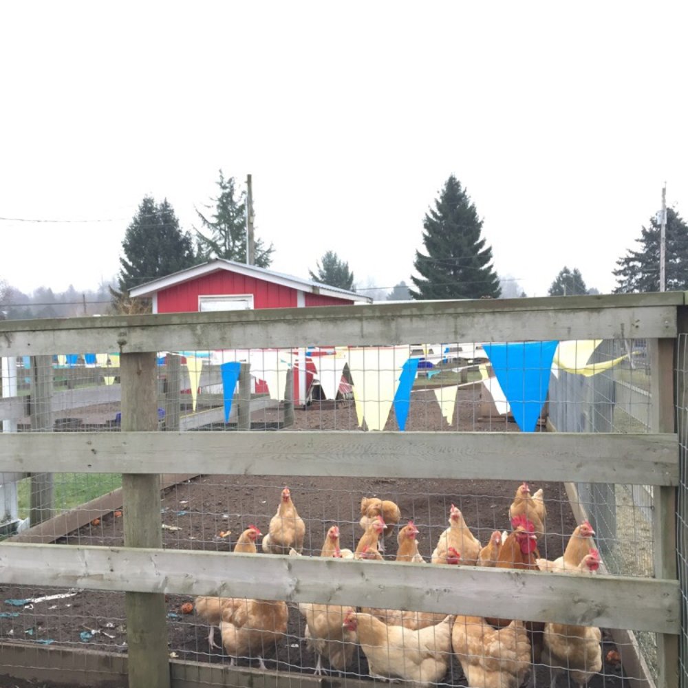 Kensington Prairie Farm - Arts & Crafts Near Me - Langley, British Columbia Kensington Prairie Farm - Arts & Crafts Near Me - Langley, British Columbia