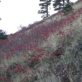 Eldorado Canyon State Park - Eldorado Canyon State Park: whatever... - Parks Near Me - Eldorado Springs, Colorado Eldorado Canyon State Park - Eldorado Canyon State Park: whatever... - Parks Near Me - Eldorado Springs, Colorado
