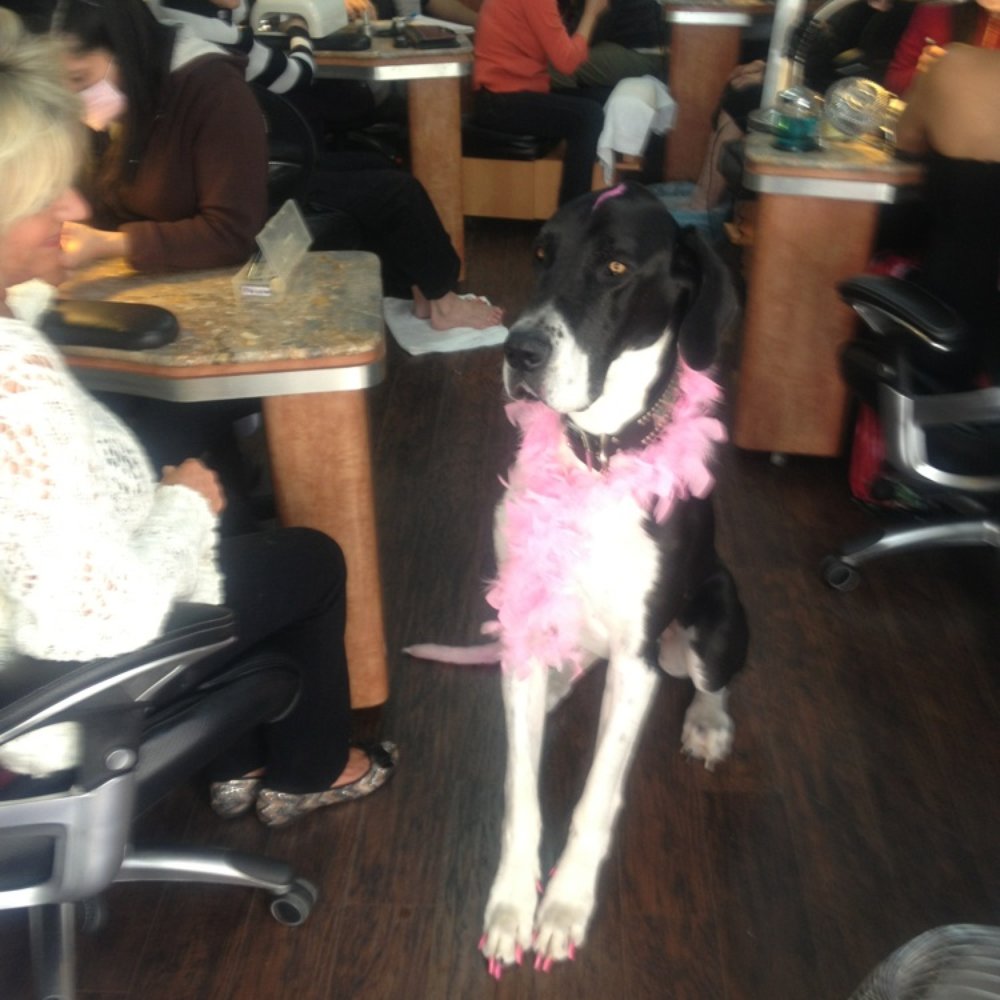 Magic Nails - Nail Salons Near Me - Costa Mesa, California