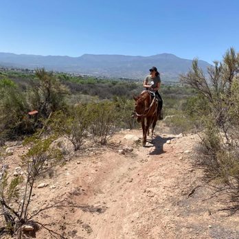Trail Horse Adventures - Horseback Riding Near Me - Cottonwood, Arizona Trail Horse Adventures - Horseback Riding Near Me - Cottonwood, Arizona