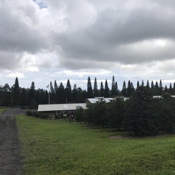 Ka'u Coffee Mill - Coffee & Tea Near Me - Pahala, Hawaii Ka'u Coffee Mill - Coffee & Tea Near Me - Pahala, Hawaii