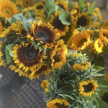 Briermere Farms - Bakeries Near Me - Riverhead, New York