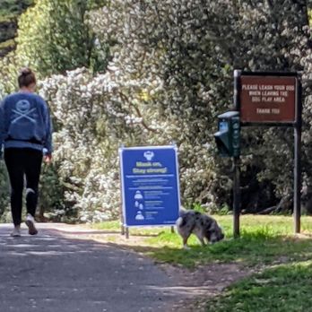 Mountain Lake Park - Maybe she doesn't read English? - Parks Near Me Mountain Lake Park - Maybe she doesn't read English? - Parks Near Me