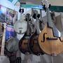 Photo of Tall Toad Music