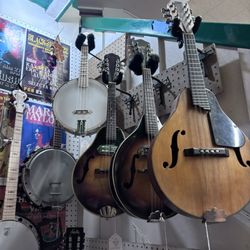 Tall Toad Music