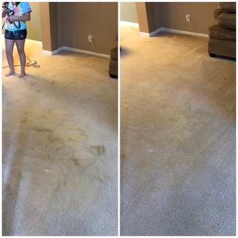 Zerorez Indianapolis - Carpet Cleaning Near Me - Indianapolis, Indiana