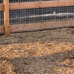 Chanticleer Dog Park - Holes in bottom of fence with easily diggable wood chips.